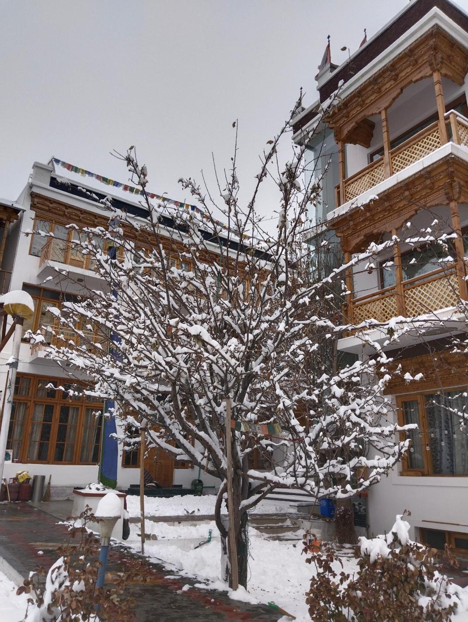 Hotel Jigmet, Leh Ngoại thất bức ảnh